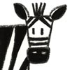 ILLUSTRATION ILLUSTRATRICE SOPHIE TURREL PROJET DESSIN