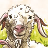 ILLUSTRATION ILLUSTRATRICE SOPHIE TURREL PROJET DESSIN